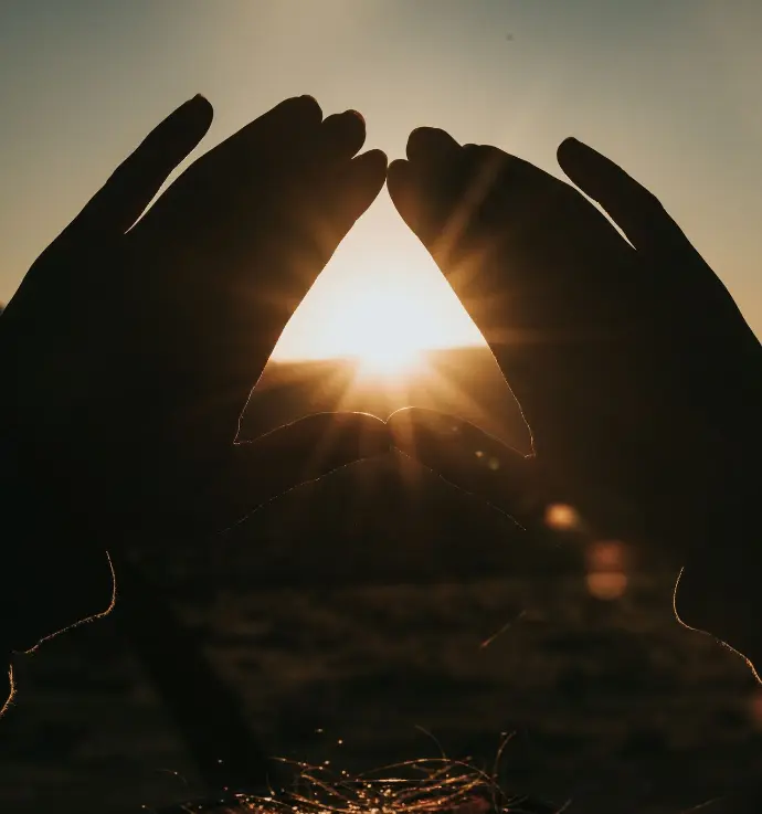 sun rays coming through brown grass